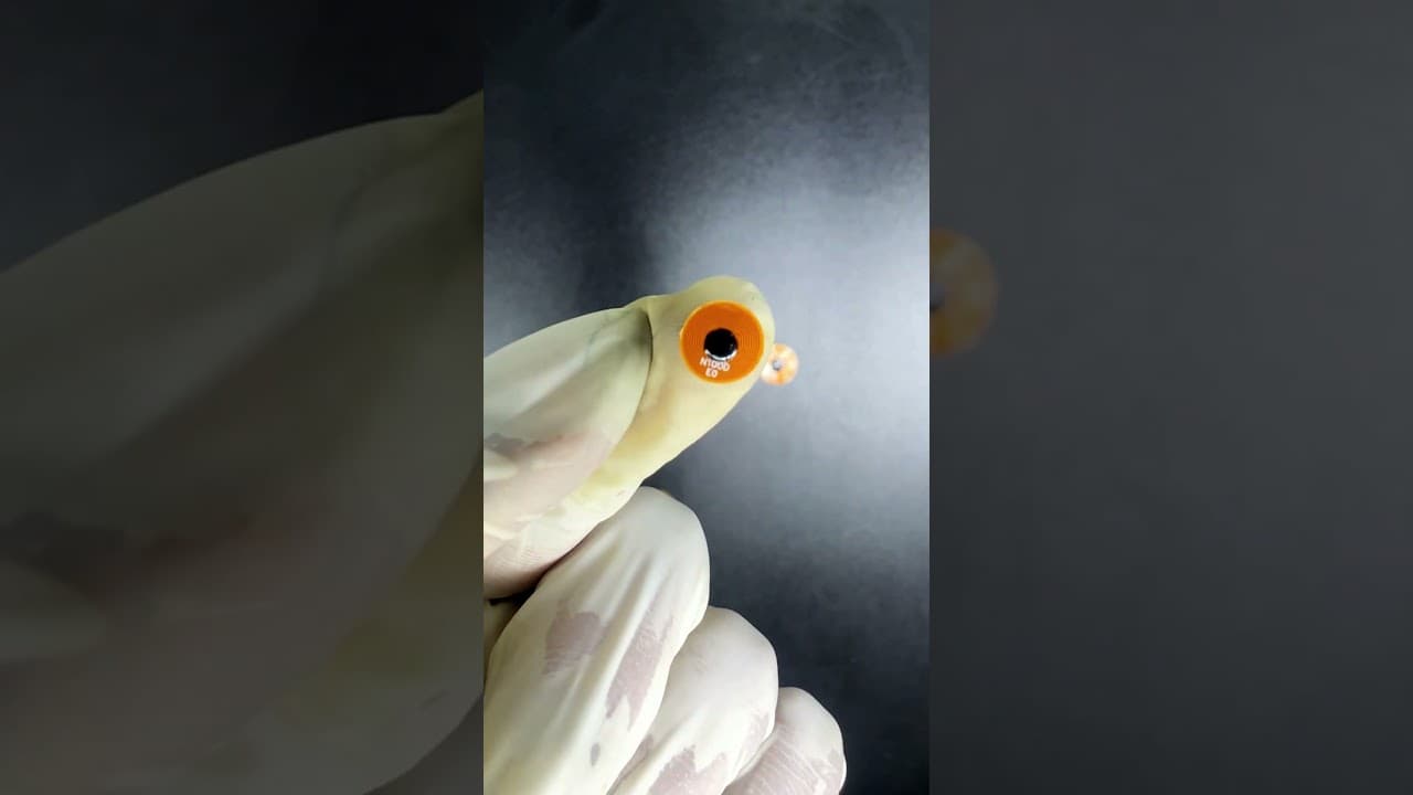 Video thumbnail