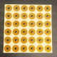 LINQS® - NTAG213 Micro FPC NFC Tags 5mm (Pack of 5) | Anti-Metal, Jewelry Friendly, 144-Byte Redirect Ready LINQS® - NTAG213 Micro FPC NFC Tags 5mm (Pack of 5) | Anti-Metal, Jewelry Friendly, 144-Byte Redirect Ready